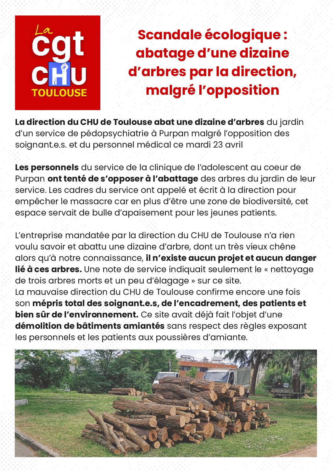 Scandale écologique au CHU : abatage d’arbres malgré l’opposition